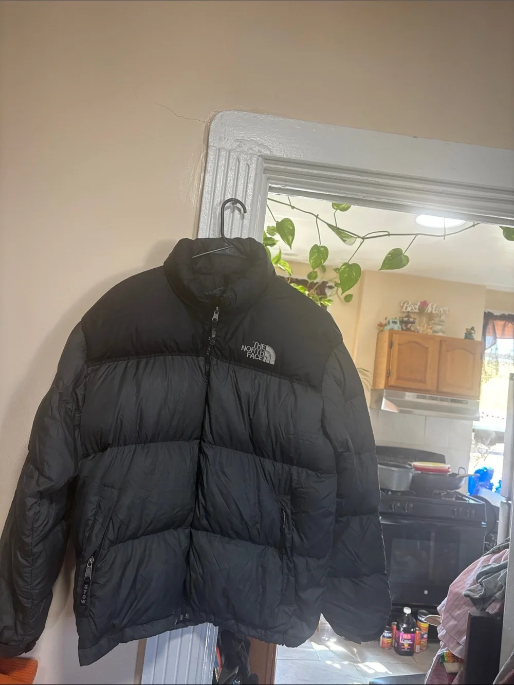 The North Face Men's Black Quilted Down Puffer Jacket